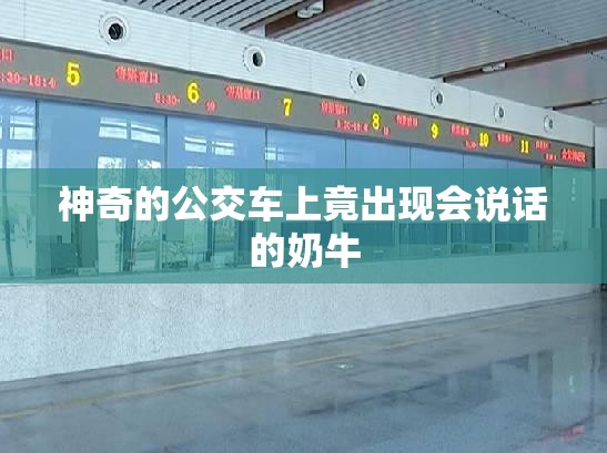 神奇的公交车上竟出现会说话的奶牛