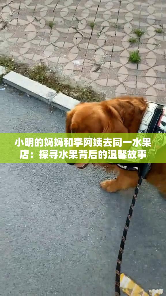 小明的妈妈和李阿姨去同一水果店：探寻水果背后的温馨故事