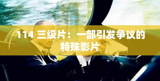 114 三级片：一部引发争议的特殊影片
