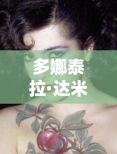 多娜泰拉·达米亚妮满天星：关于它的独特魅力与迷人之处的探讨