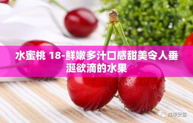 水蜜桃 18-鲜嫩多汁口感甜美令人垂涎欲滴的水果