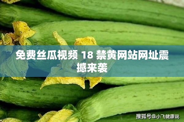 免费丝瓜视频 18 禁黄网站网址震撼来袭