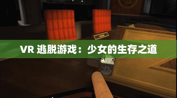 VR 逃脱游戏：少女的生存之道