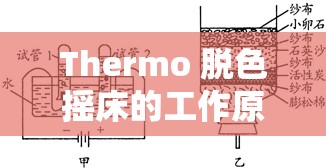 Thermo 脱色摇床的工作原理：深入探究其运转机制与效能实现