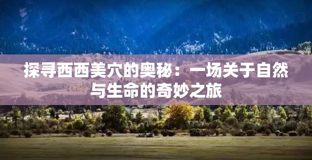 探寻西西美穴的奥秘：一场关于自然与生命的奇妙之旅