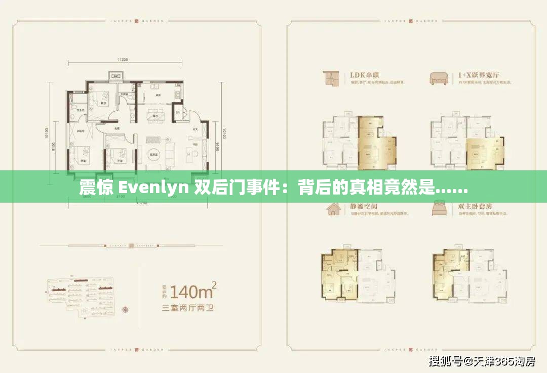 震惊 Evenlyn 双后门事件：背后的真相竟然是......