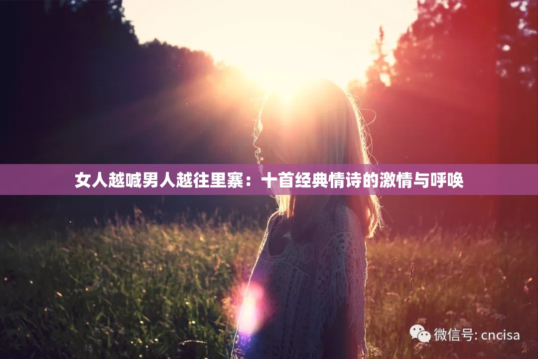 女人越喊男人越往里寨：十首经典情诗的激情与呼唤