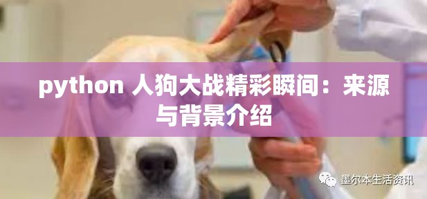 python 人狗大战精彩瞬间：来源与背景介绍