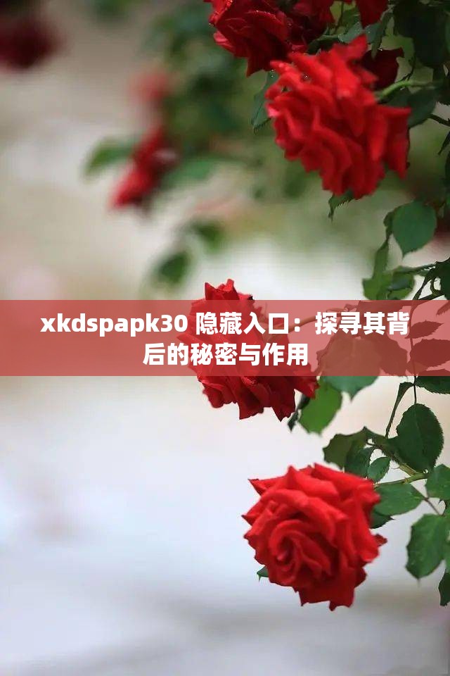 xkdspapk30 隐藏入口：探寻其背后的秘密与作用