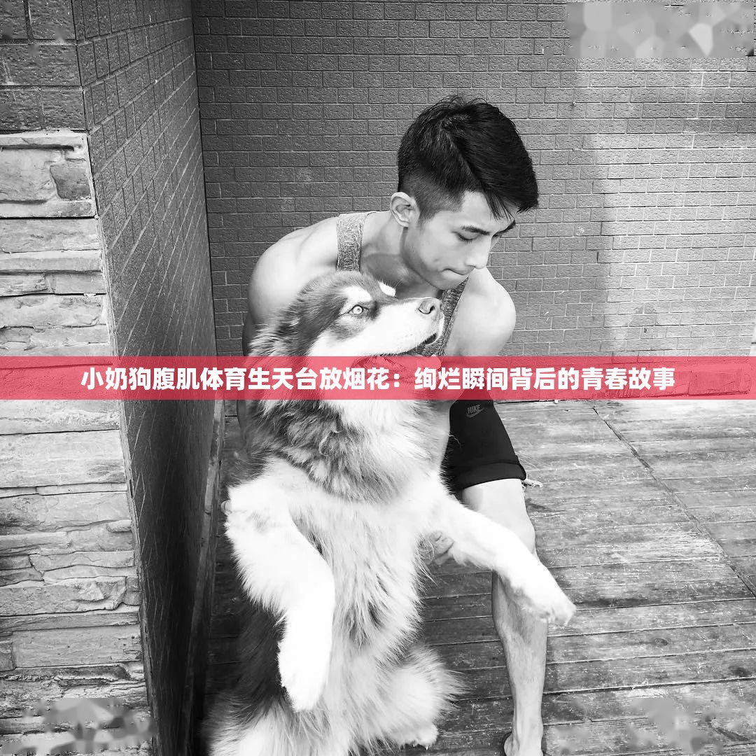 小奶狗腹肌体育生天台放烟花：绚烂瞬间背后的青春故事