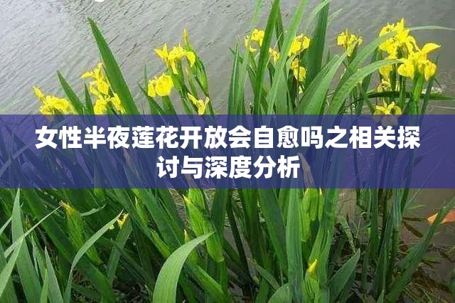 女性半夜莲花开放会自愈吗之相关探讨与深度分析