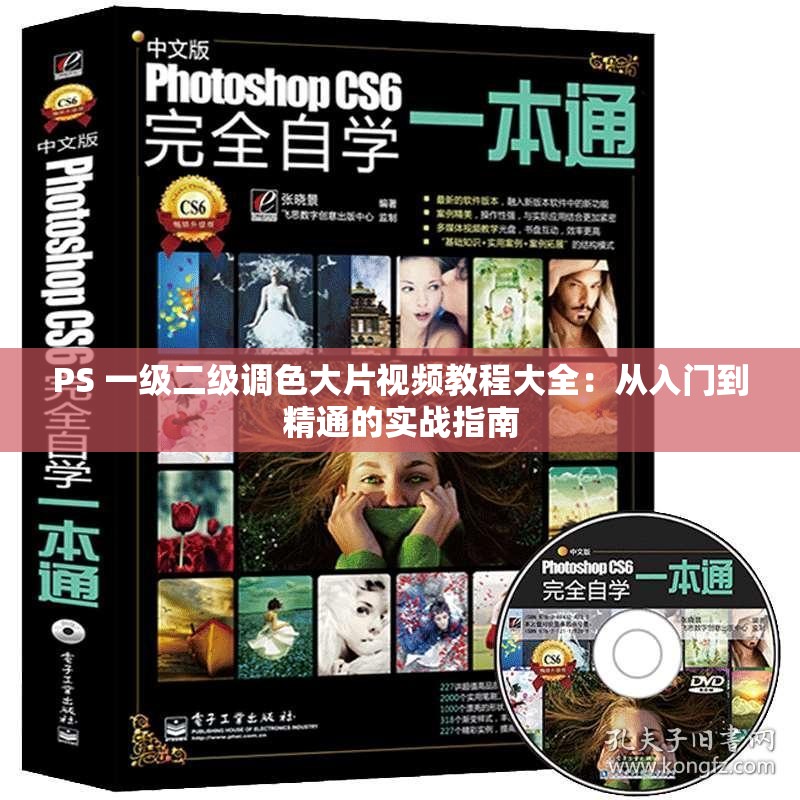 PS 一级二级调色大片视频教程大全：从入门到精通的实战指南