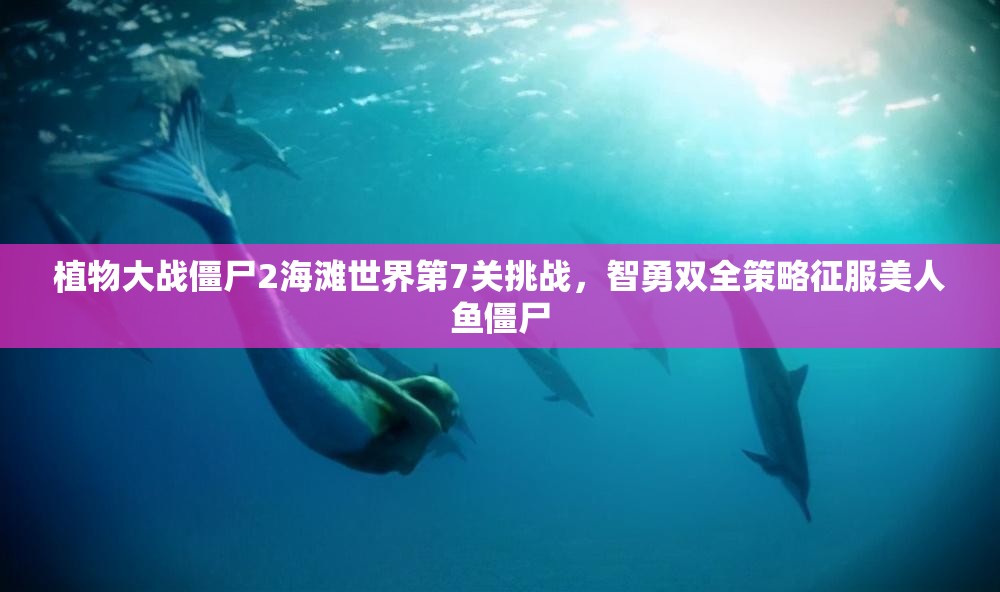 植物大战僵尸2海滩世界第7关挑战，智勇双全策略征服美人鱼僵尸