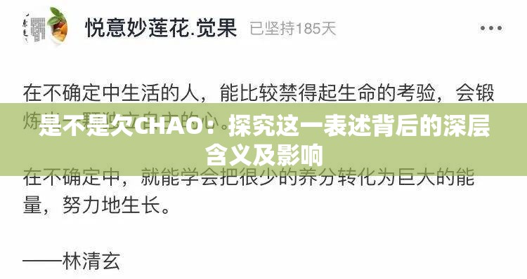 是不是欠CHAO：探究这一表述背后的深层含义及影响
