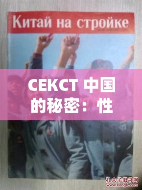 СЕКСТ 中国的秘密：性、权力与金钱的交织