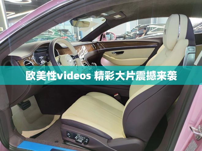 欧美性videos 精彩大片震撼来袭