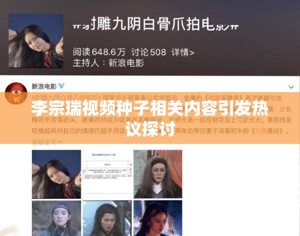 李宗瑞视频种子相关内容引发热议探讨