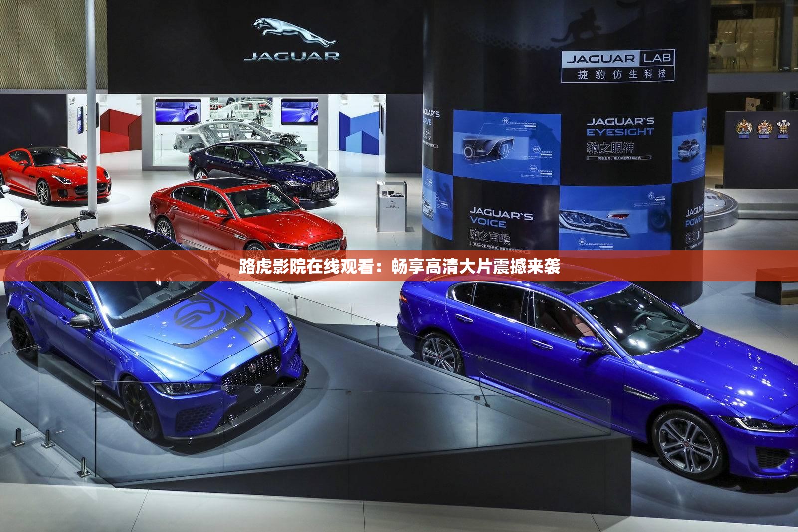 路虎影院在线观看：畅享高清大片震撼来袭