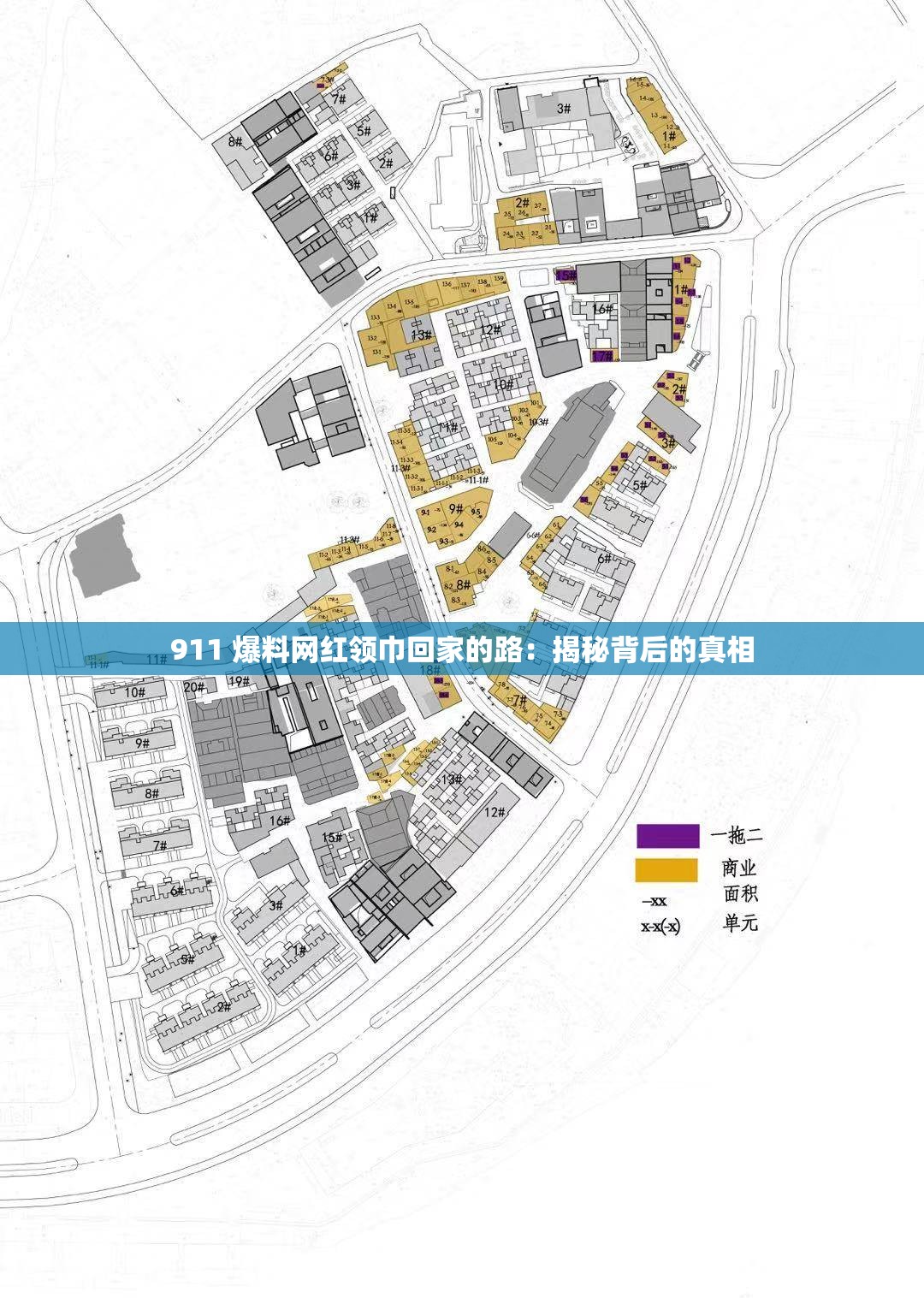 911 爆料网红领巾回家的路：揭秘背后的真相
