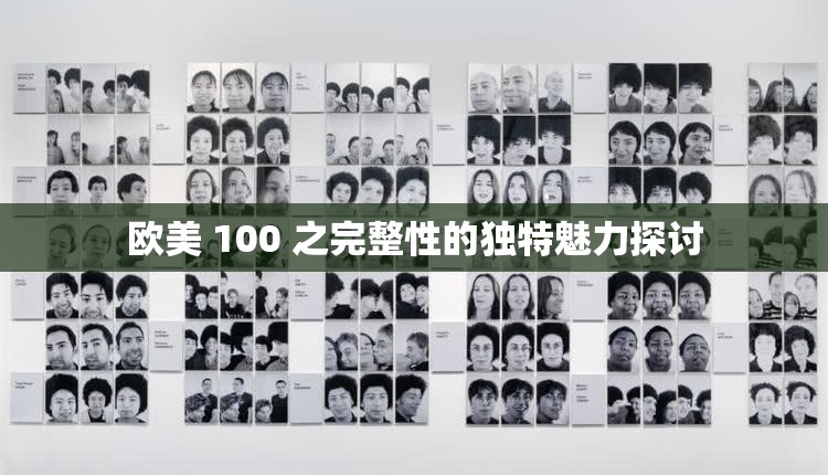 欧美 100 之完整性的独特魅力探讨