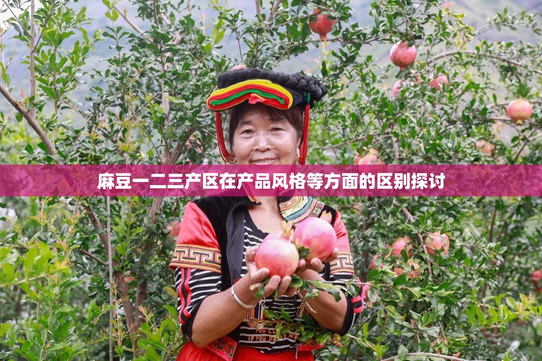 麻豆一二三产区在产品风格等方面的区别探讨
