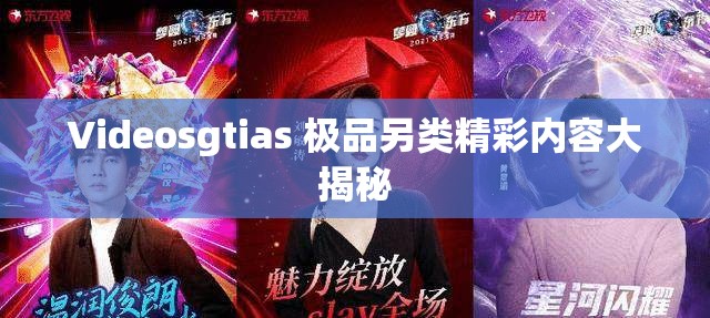 Videosgtias 极品另类精彩内容大揭秘