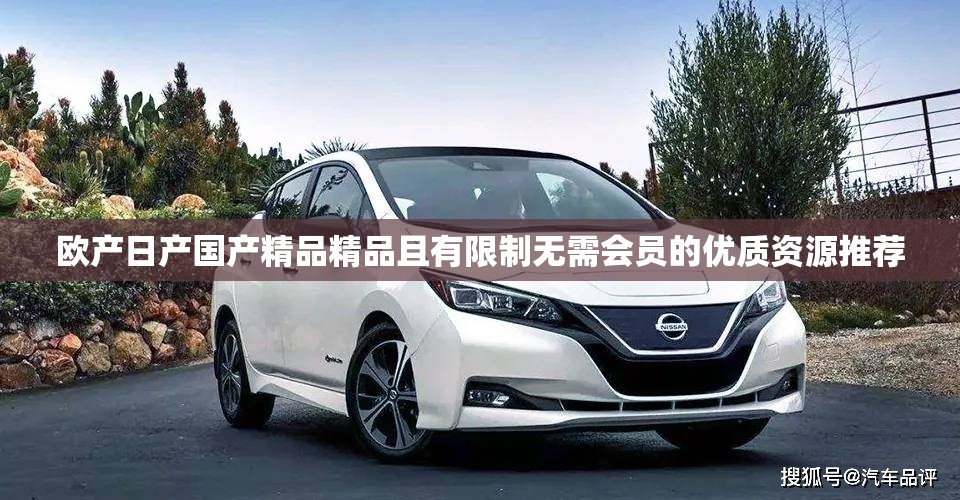 欧产日产国产精品精品且有限制无需会员的优质资源推荐