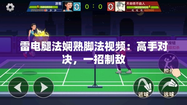 雷电腿法娴熟脚法视频：高手对决，一招制敌