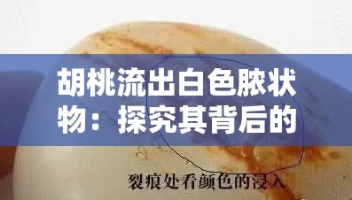 胡桃流出白色脓状物：探究其背后的神秘原因与影响
