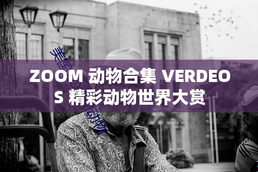 ZOOM 动物合集 VERDEOS 精彩动物世界大赏