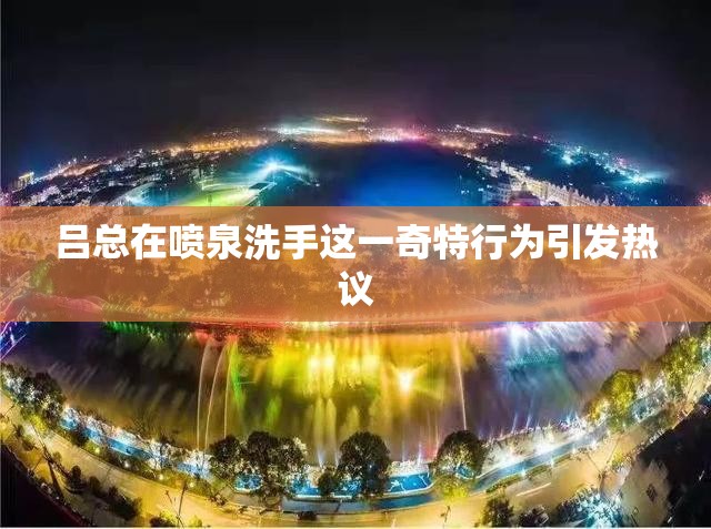 吕总在喷泉洗手这一奇特行为引发热议