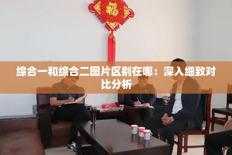 综合一和综合二图片区别在哪：深入细致对比分析