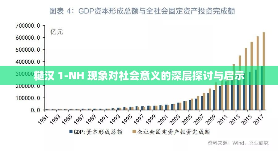 糙汉 1-NH 现象对社会意义的深层探讨与启示