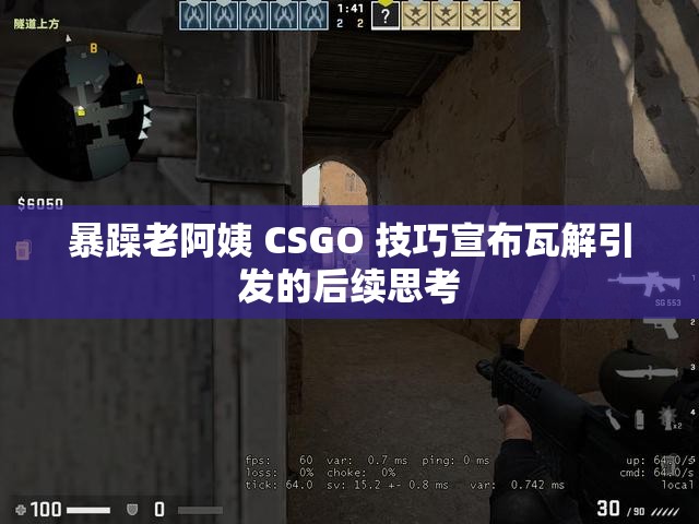 暴躁老阿姨 CSGO 技巧宣布瓦解引发的后续思考