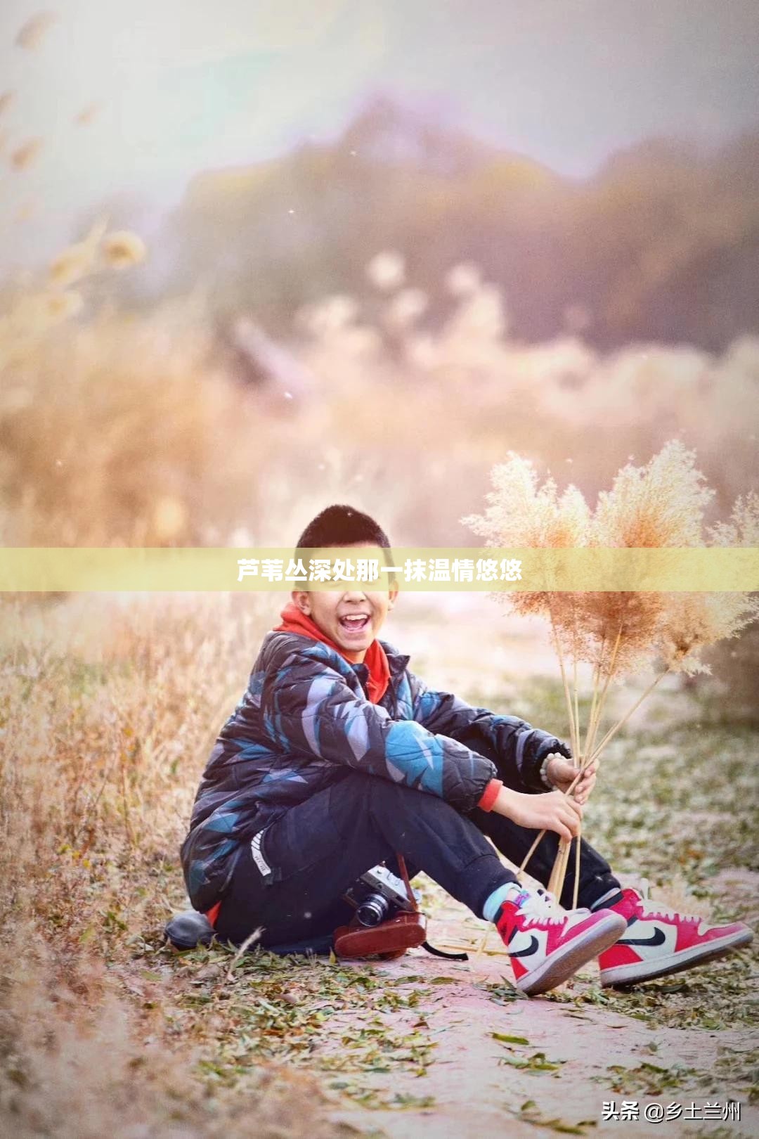 芦苇丛深处那一抹温情悠悠