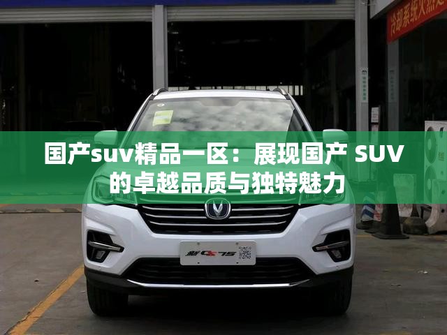 国产suv精品一区：展现国产 SUV 的卓越品质与独特魅力