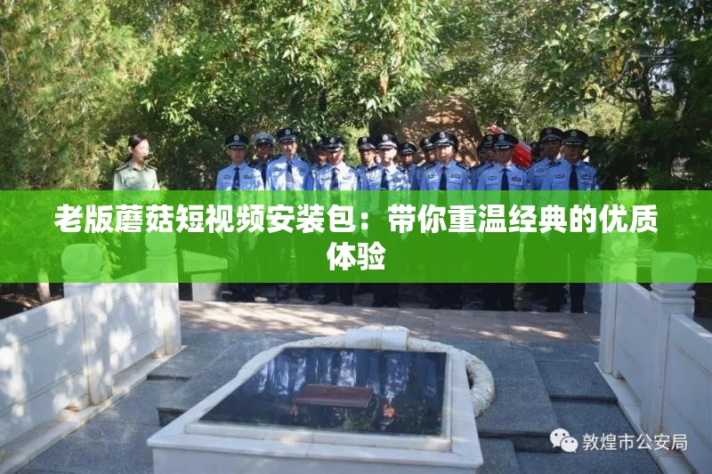 老版蘑菇短视频安装包：带你重温经典的优质体验