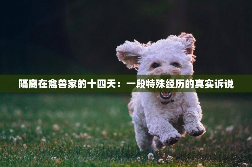 隔离在禽兽家的十四天：一段特殊经历的真实诉说