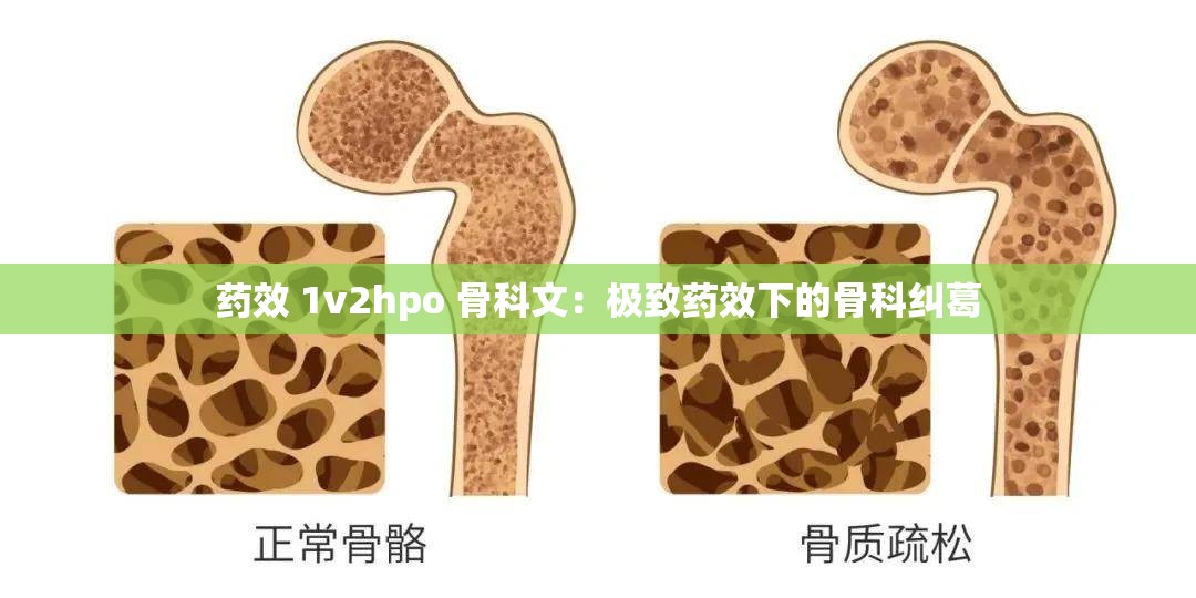 药效 1v2hpo 骨科文：极致药效下的骨科纠葛