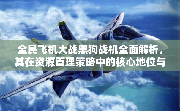 全民飞机大战黑狗战机全面解析，其在资源管理策略中的核心地位与作用