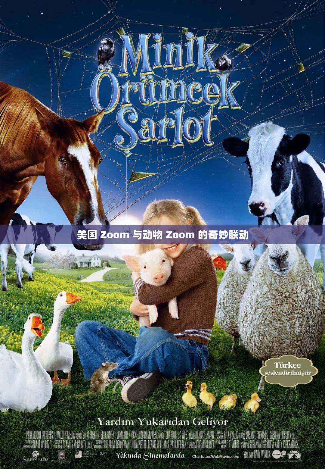 美国 Zoom 与动物 Zoom 的奇妙联动