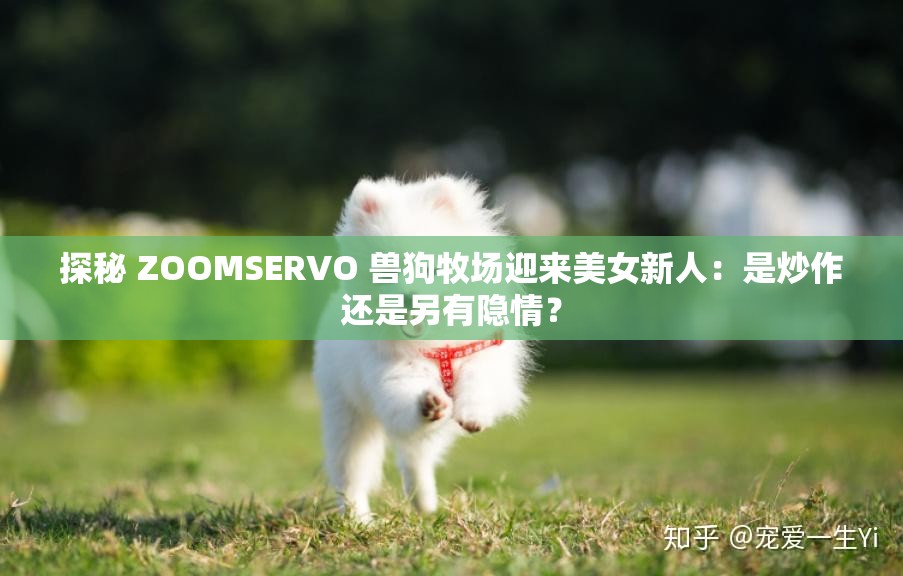 探秘 ZOOMSERVO 兽狗牧场迎来美女新人：是炒作还是另有隐情？
