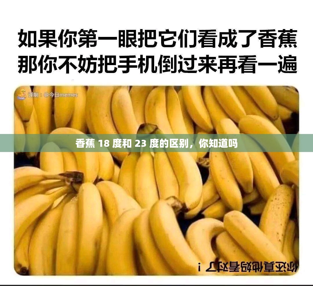 香蕉 18 度和 23 度的区别，你知道吗
