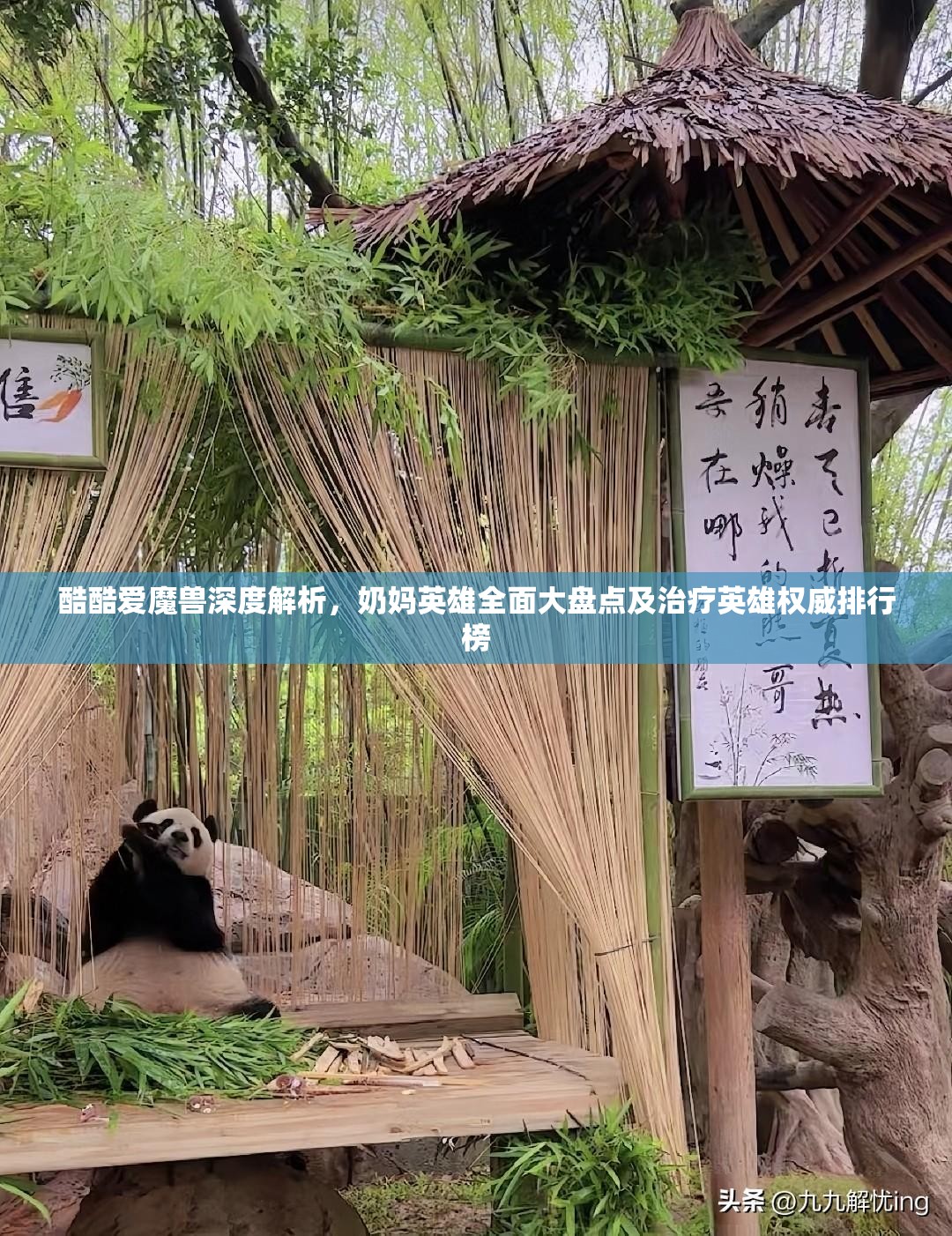 酷酷爱魔兽深度解析，奶妈英雄全面大盘点及治疗英雄权威排行榜