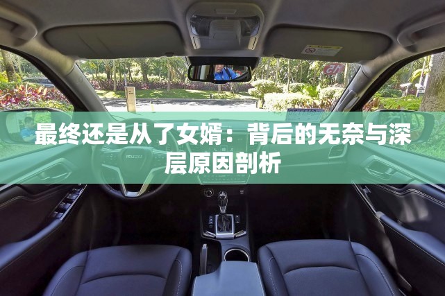 最终还是从了女婿：背后的无奈与深层原因剖析