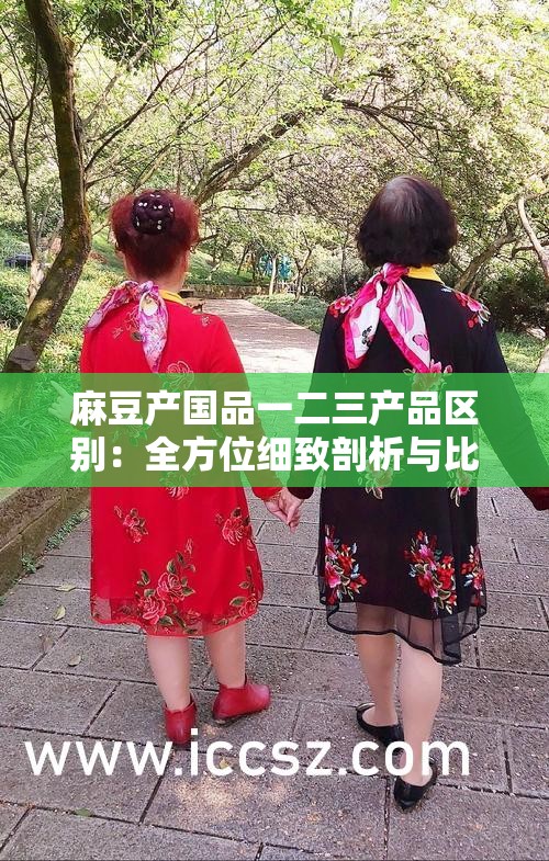 麻豆产国品一二三产品区别：全方位细致剖析与比较