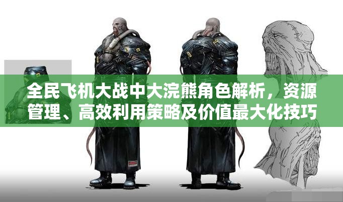 全民飞机大战中大浣熊角色解析，资源管理、高效利用策略及价值最大化技巧