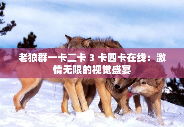 老狼群一卡二卡 3 卡四卡在线：激情无限的视觉盛宴