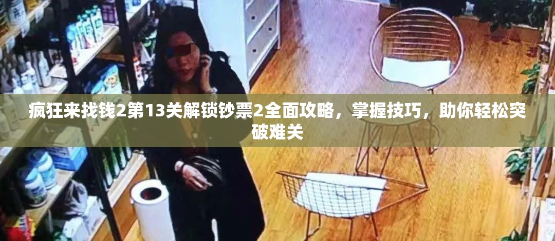 疯狂来找钱2第13关解锁钞票2全面攻略，掌握技巧，助你轻松突破难关