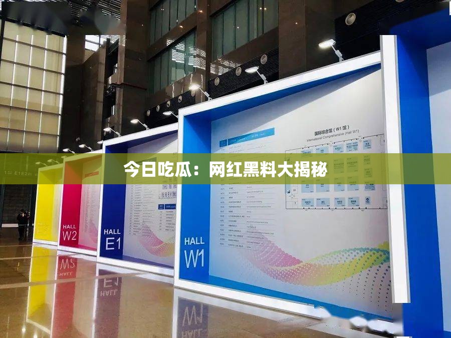 今日吃瓜：网红黑料大揭秘